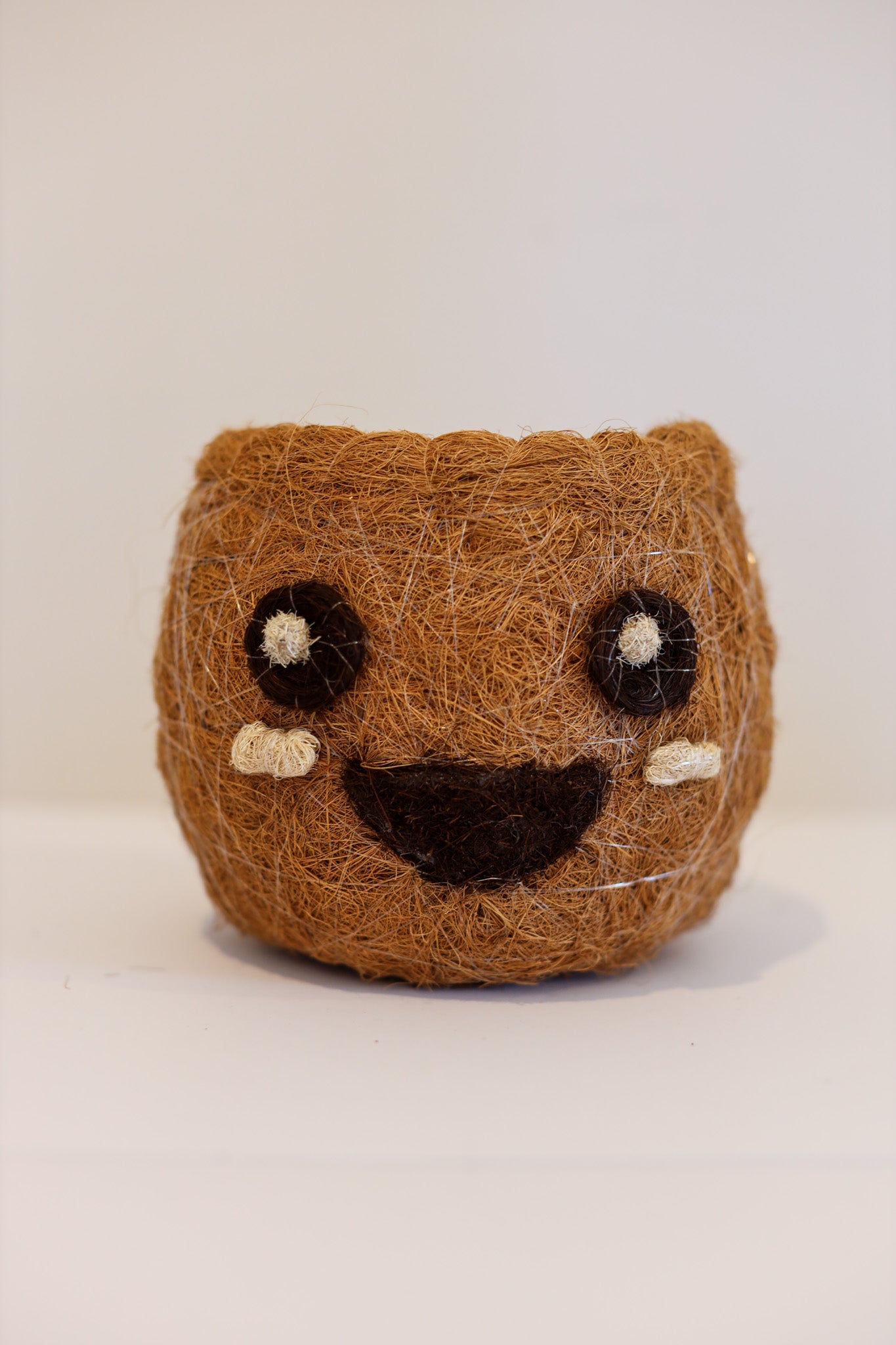 Smiling Emoji - Coco Coir Animal Planter & Wine Bottle Holder | The Pino Collection