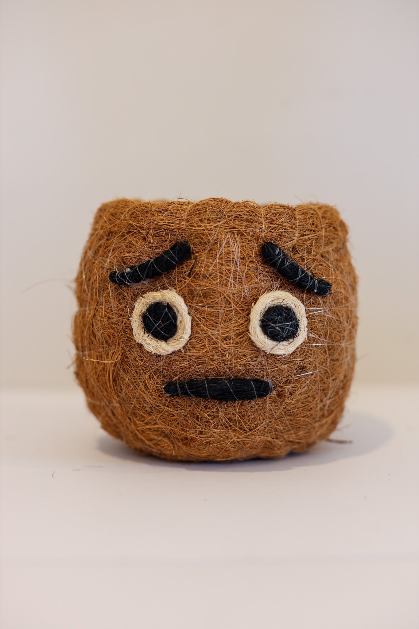 Anxious Emoji - Coco Coir Animal Planter & Wine Bottle Holder | The Pino Collection