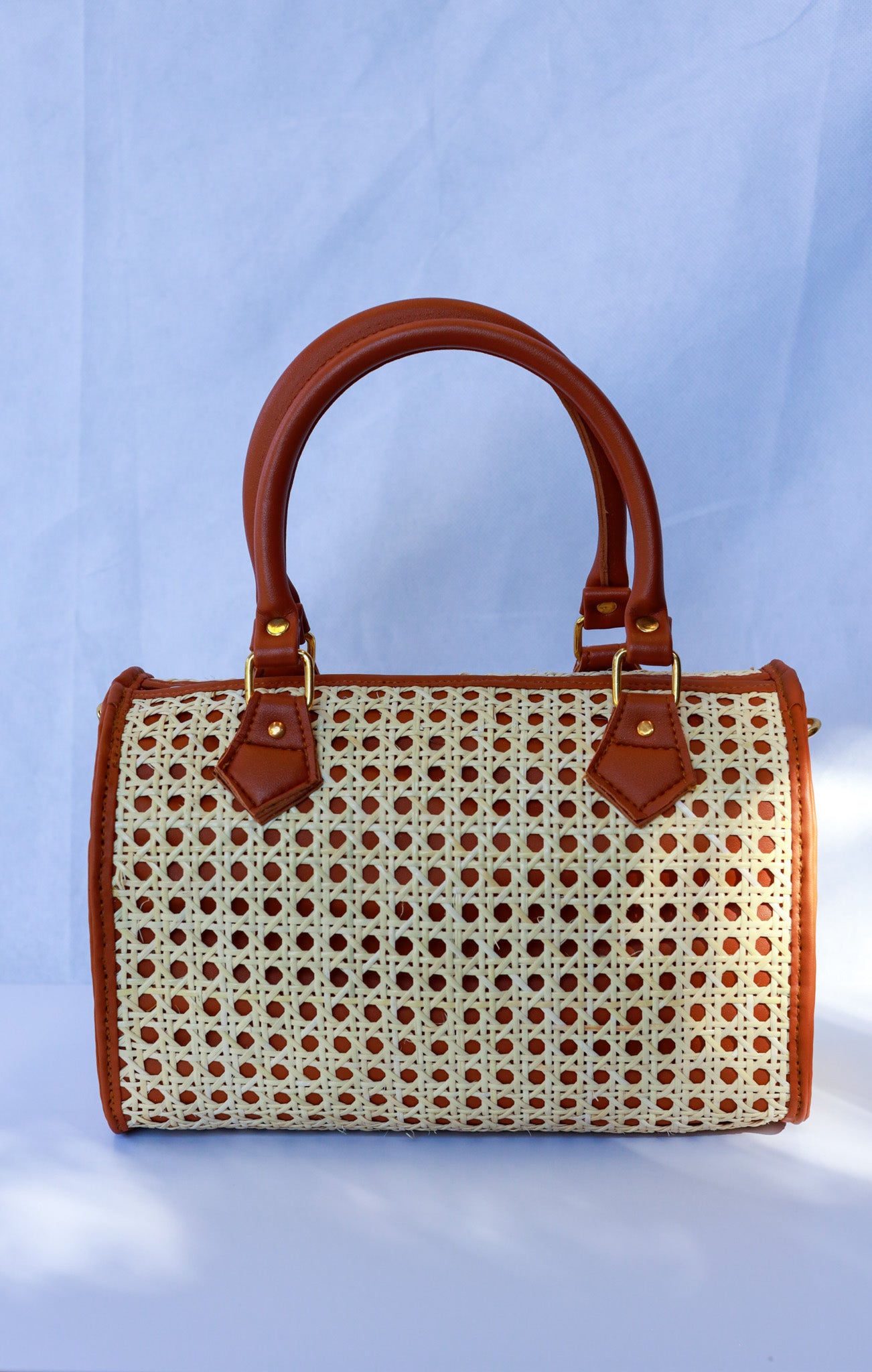 Solohiya Handbag (Beige & Caramel) | The Pino Collection