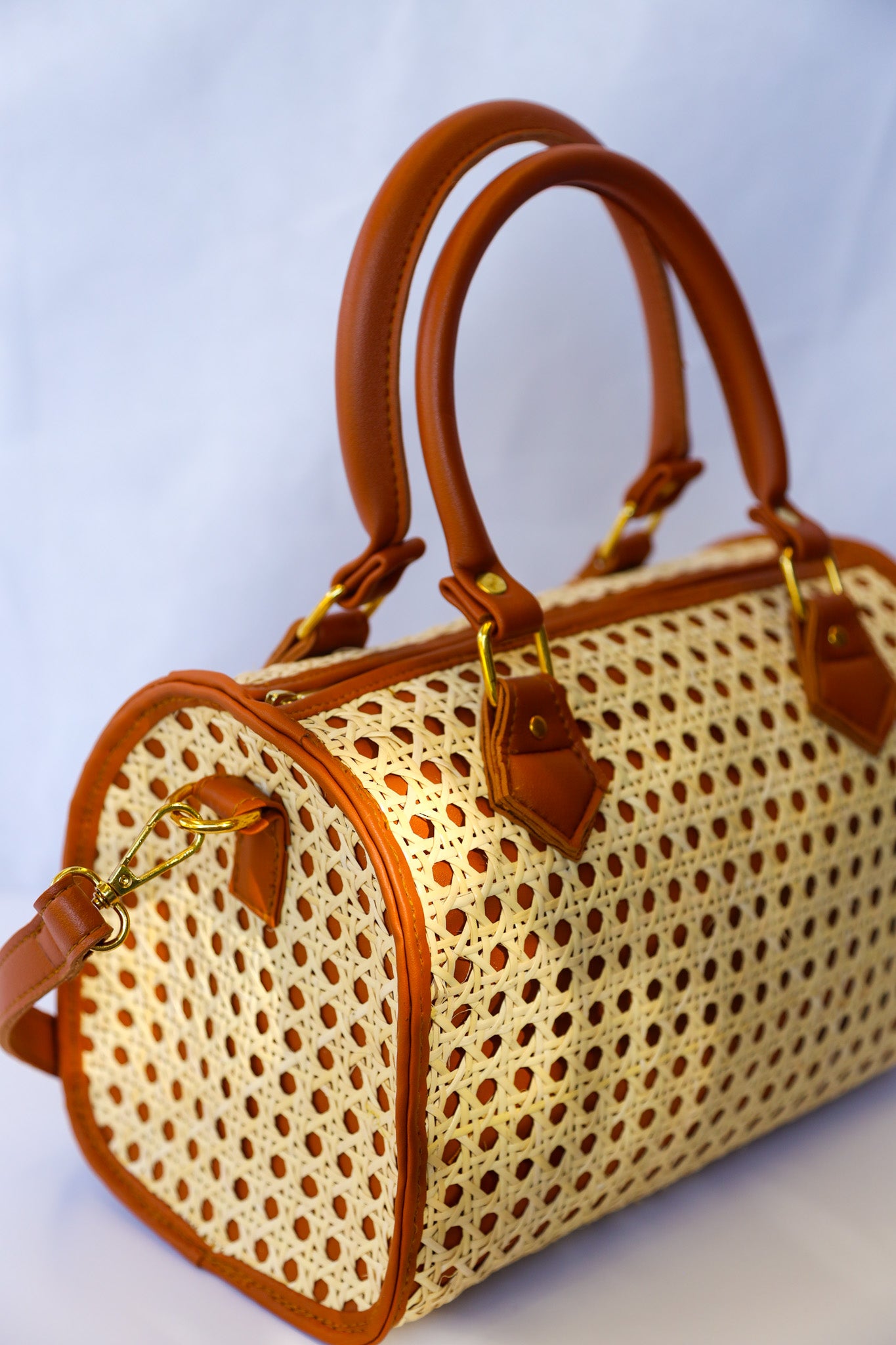 Solohiya Handbag (Beige & Caramel) | The Pino Collection