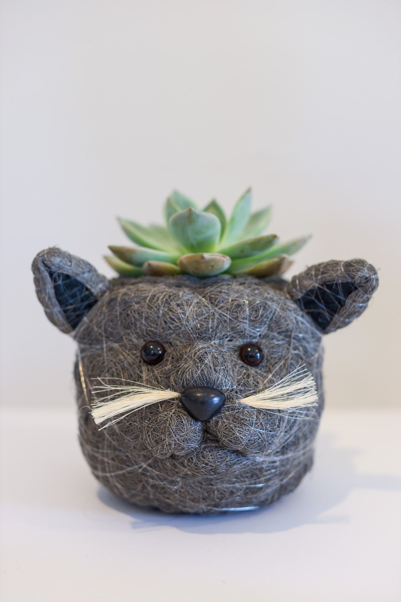 British Shorthair (Cat) Animal Planter & Wine Bottle Holder | The Pino Collection