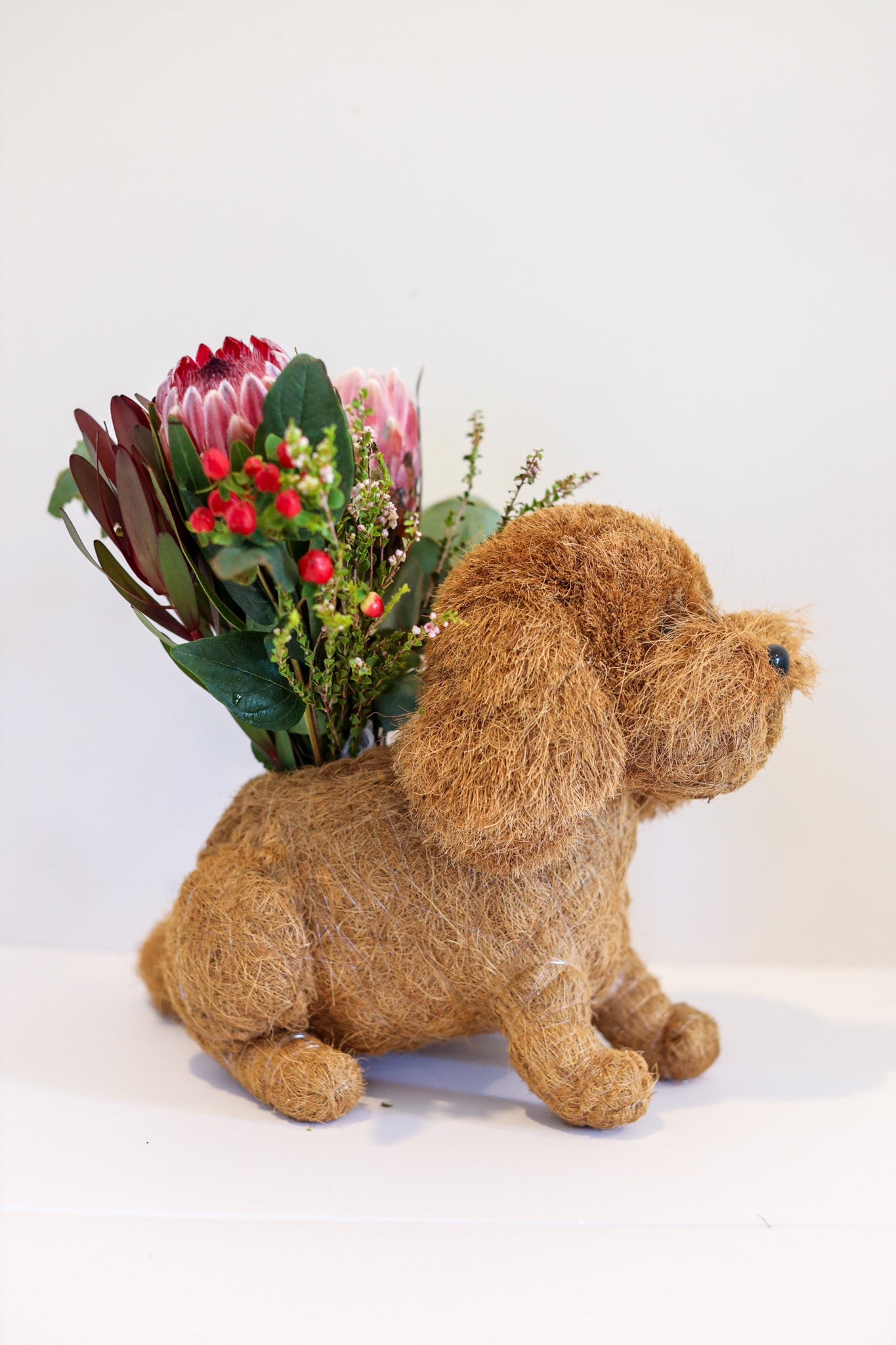 Cavoodle Puppy Animal Planter & Wine Bottle Holder | The Pino Collection