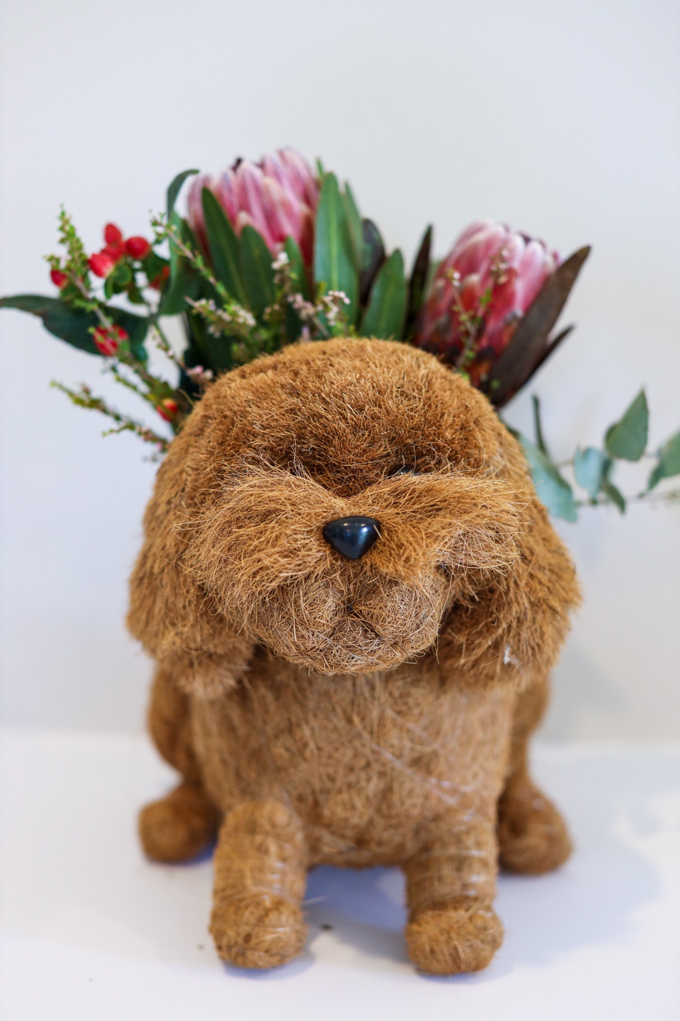 Cavoodle Puppy Animal Planter & Wine Bottle Holder | The Pino Collection