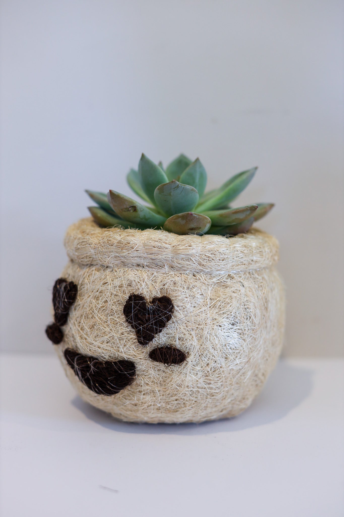 Heart Eyes Emoji - Coco Coir Animal Planter & Wine Bottle Holder | The Pino Collection