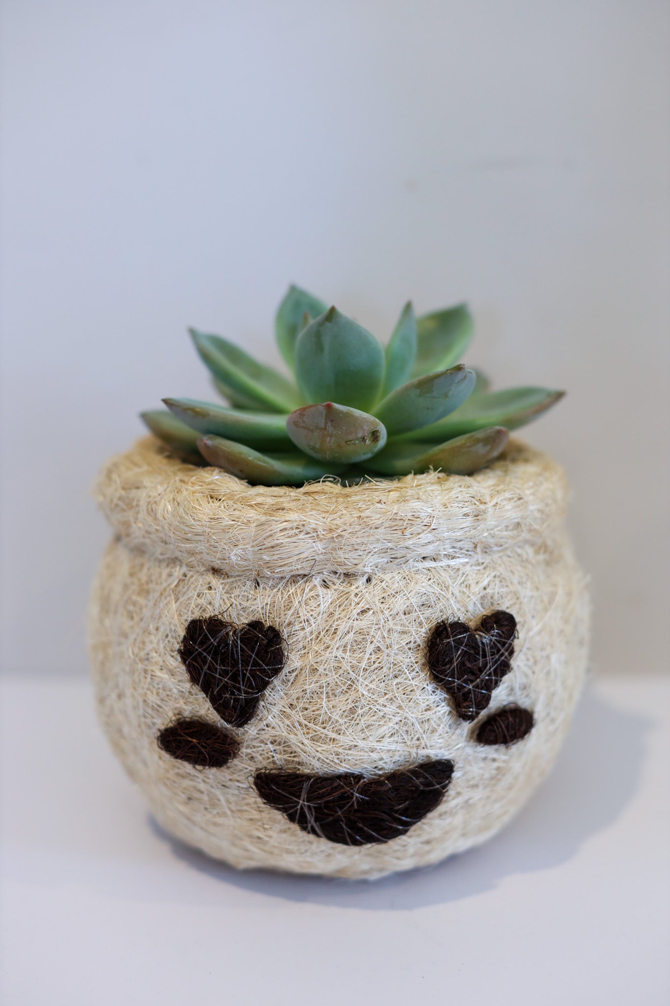 Heart Eyes Emoji - Coco Coir Animal Planter & Wine Bottle Holder | The Pino Collection