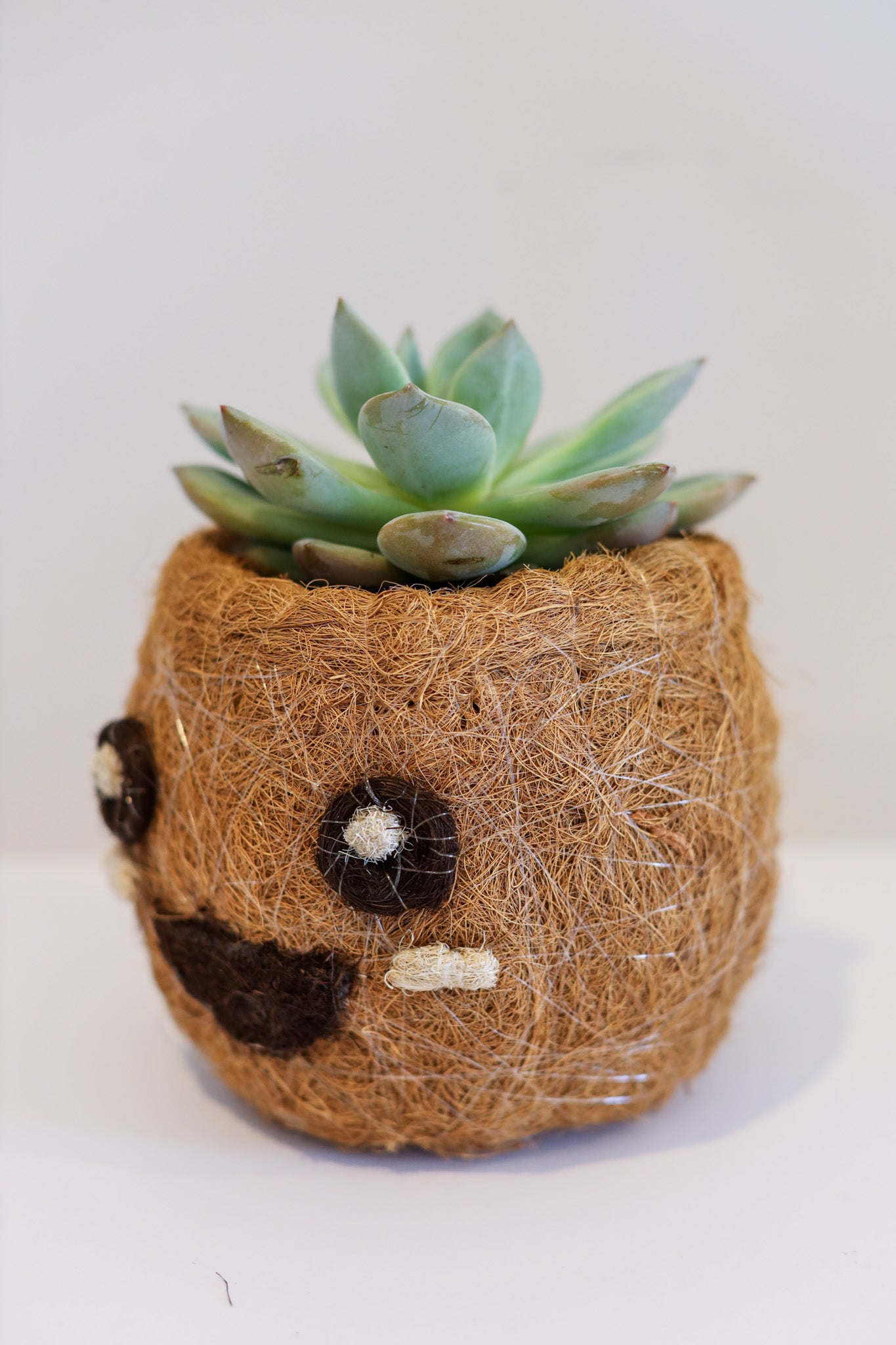 Smiling Emoji - Coco Coir Animal Planter & Wine Bottle Holder | The Pino Collection