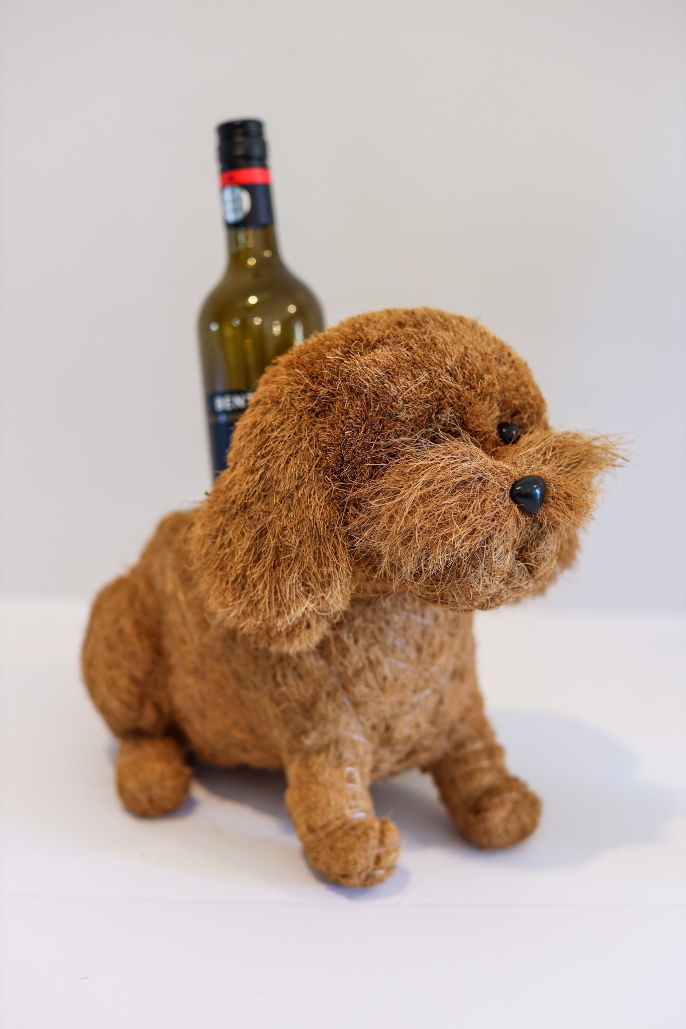 Cavoodle Puppy Animal Planter & Wine Bottle Holder | The Pino Collection