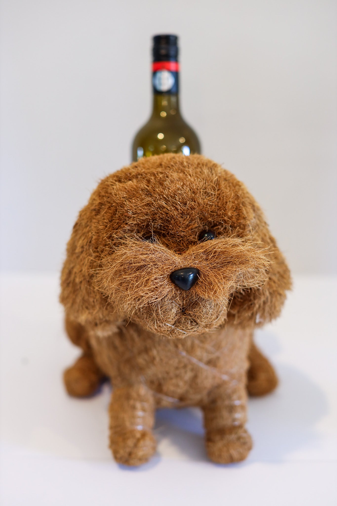 Cavoodle Puppy Animal Planter & Wine Bottle Holder | The Pino Collection